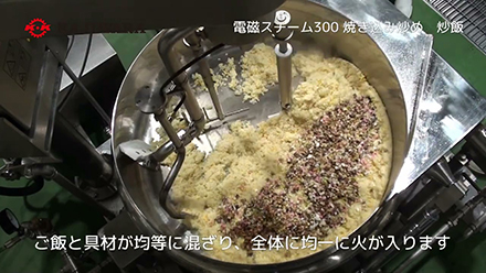 Hybrid Mixing Cooker 300 Fried Rice